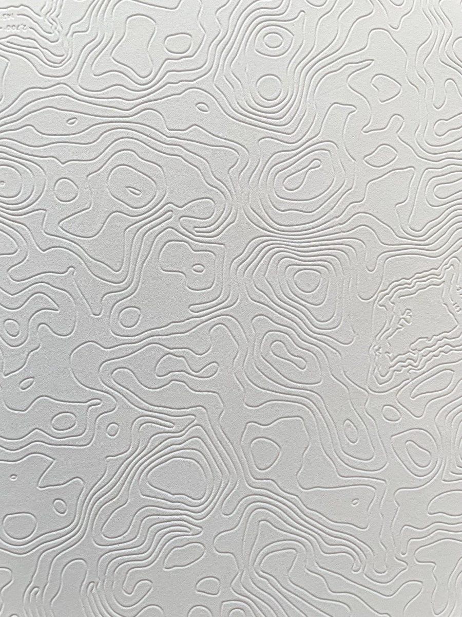 フィン付き5'6 PYZEL AstroFish Soft Top サーフボード JJF SOFT TOP ASTRO 5-6x20x2.5 FISH FU-4 V-34.5L – Pyzel